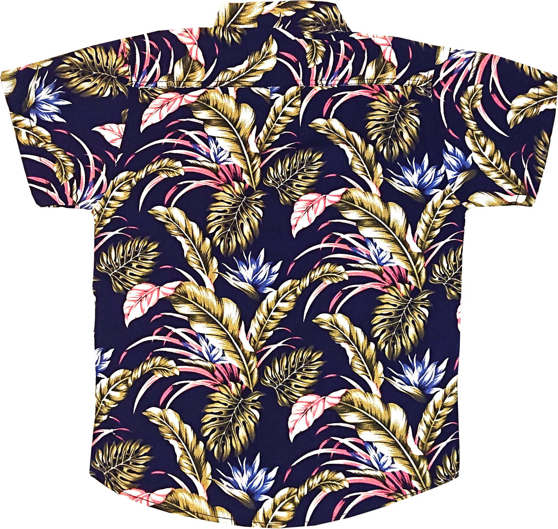 12-02