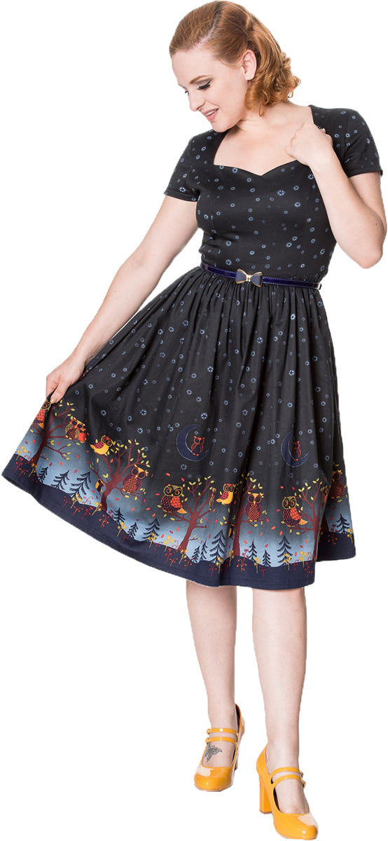 Banned_LONE_TRAVELLER_Retro_STERNE_Eulen_Sweetheart_SWING_Dress_KLEID-1hkv93YuLcmn4D