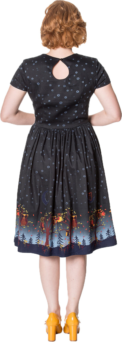 Banned_LONE_TRAVELLER_Retro_STERNE_Eulen_Sweetheart_SWING_Dress_KLEID-23Fq3D6HPE8z3v