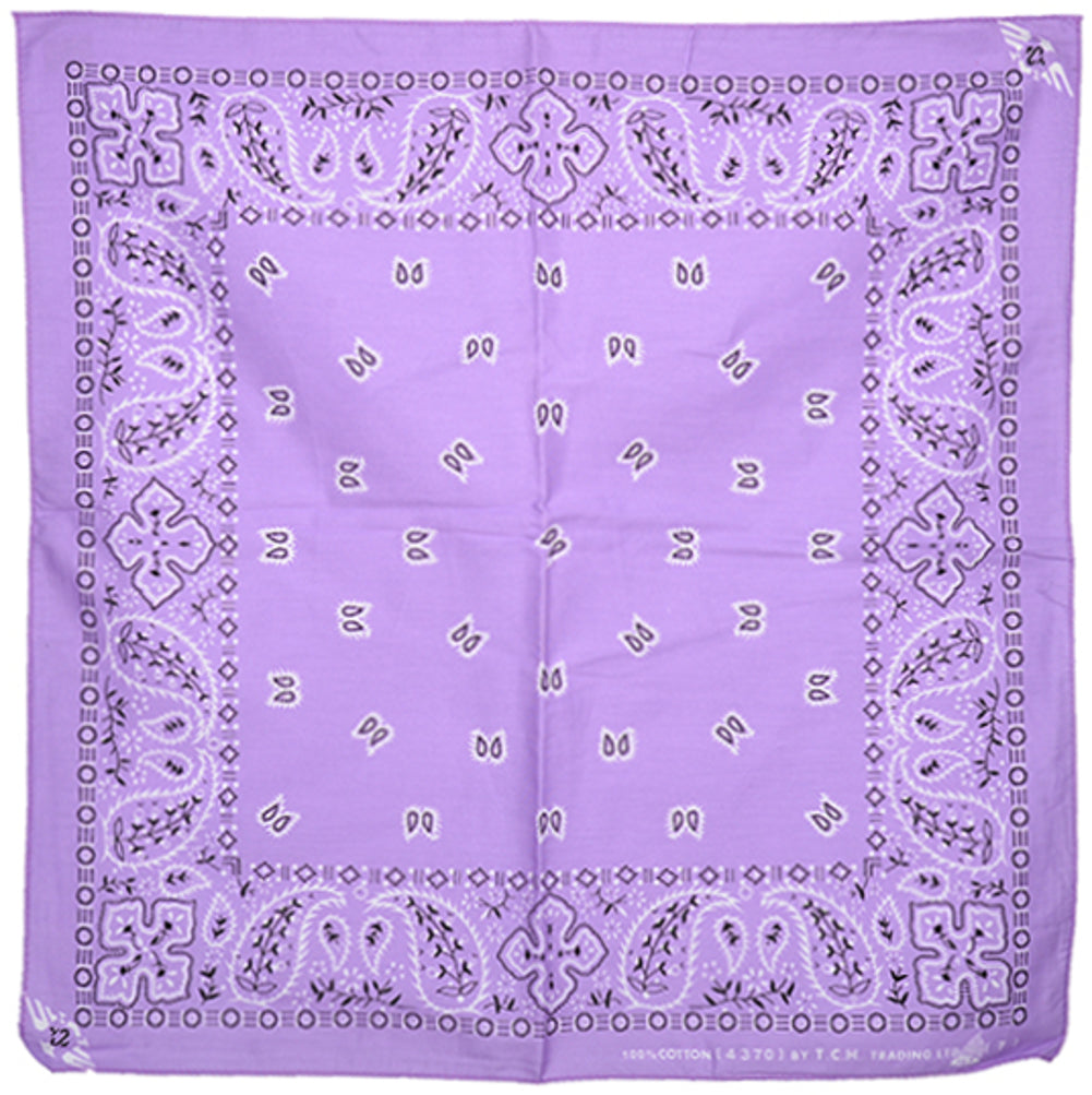 Classic_Vintage_PAISLEY_Nickituch_BANDANA_-_FliederbAj8Qhp8YEzpZ