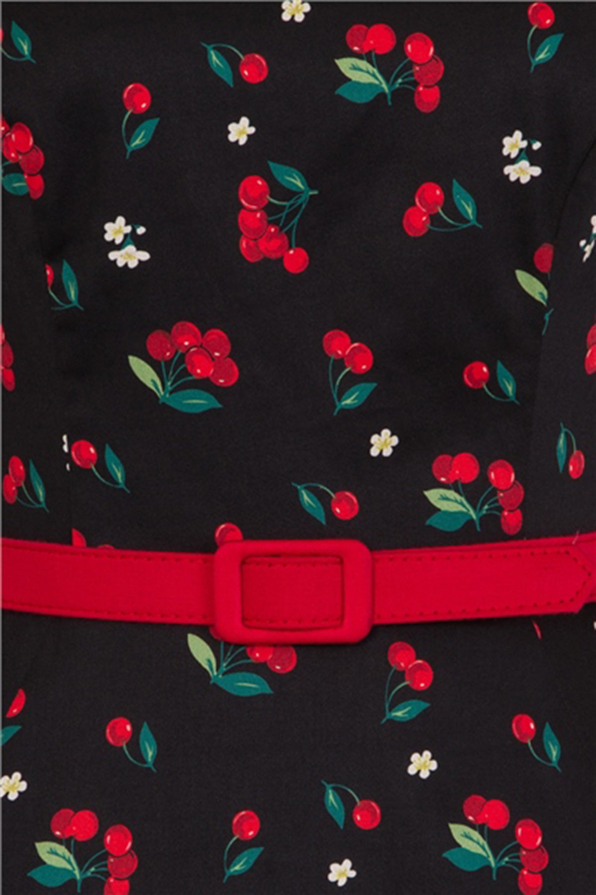 Collectif_SUZANNE_Kirschen_Cherries_and_Blossom_SWING_DRESS_Kleid_killer_kirsche_4WRhmikkjmPBh5