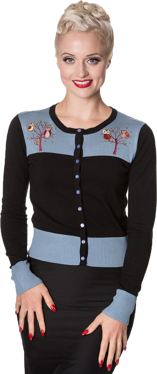 Dancing_Days_LONE_TRAVELLER_Eulen_OWL_Vintage_CARDIGAN_Strickjacke-1JfC71Y0ixQqdK