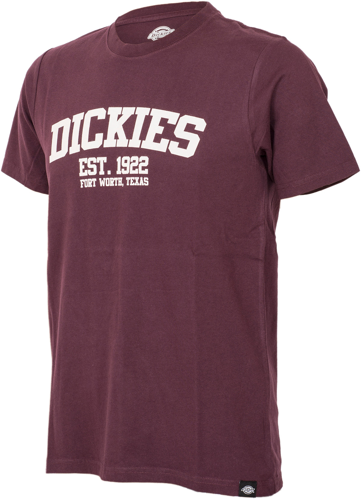 Dickies_FINLEY_Logo_BASIC_Retro_Shirt_HERREN_Motiv_T-SHIRT-3