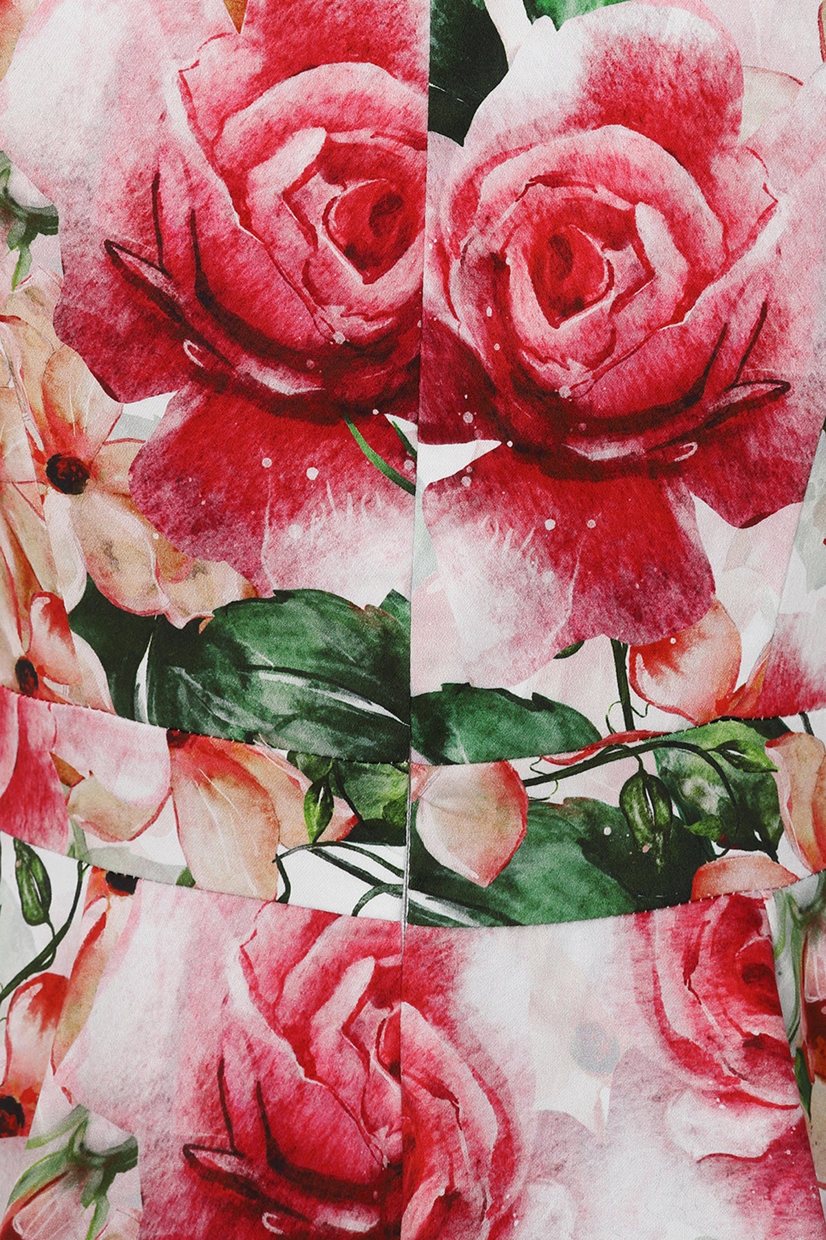 Hearts__Roses_GRACIE_50s_FLORAL_Vintage_Blueten_ROSES_Rosen_Retro_Swing_Dress_KLEID-479SJqvr7YVh43