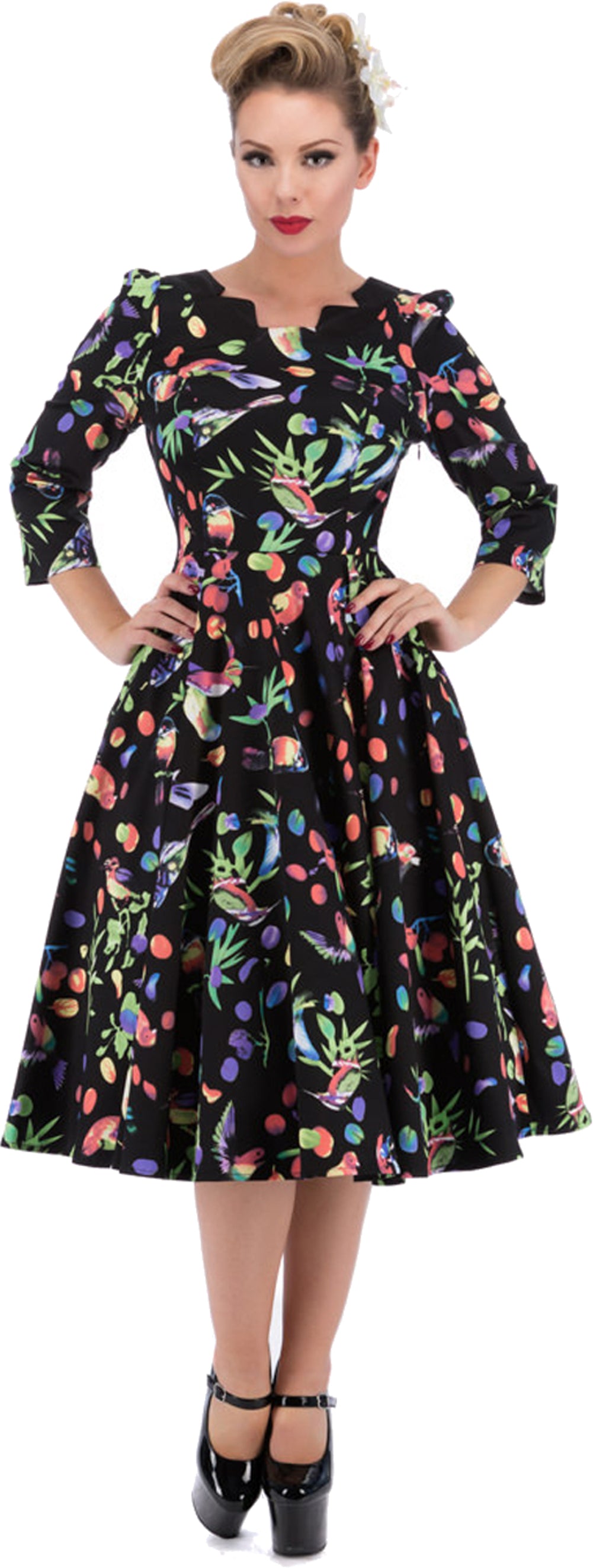 Hearts_and_Roses__GARDEN_BIRDS_Vintage_Pin_Up_Tea_Dress_Swing_KleidrgHZnIPiy6rJh