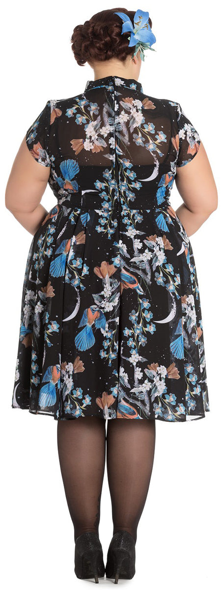 Hell_Bunny_STARRY_NIGHT_Vintage_Bird_Floral_Chiffon_V-Neck_KLEID_Plus_Size-2AubSfYT6oGkwH