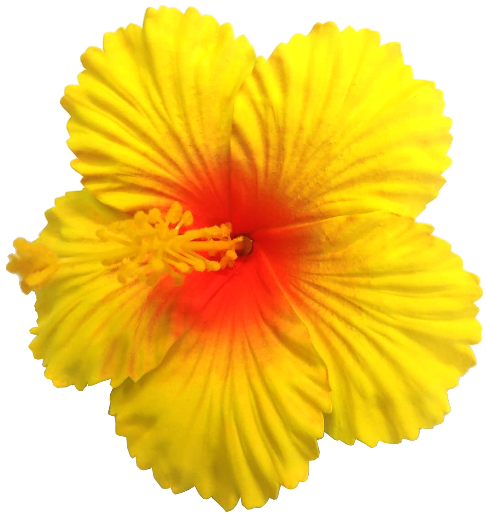 Killer_Kirsche_HERIET_HIBISCUS_FLOWER_Hibiskus_Haarbluete_Spange_-_Gelb_Orange_1