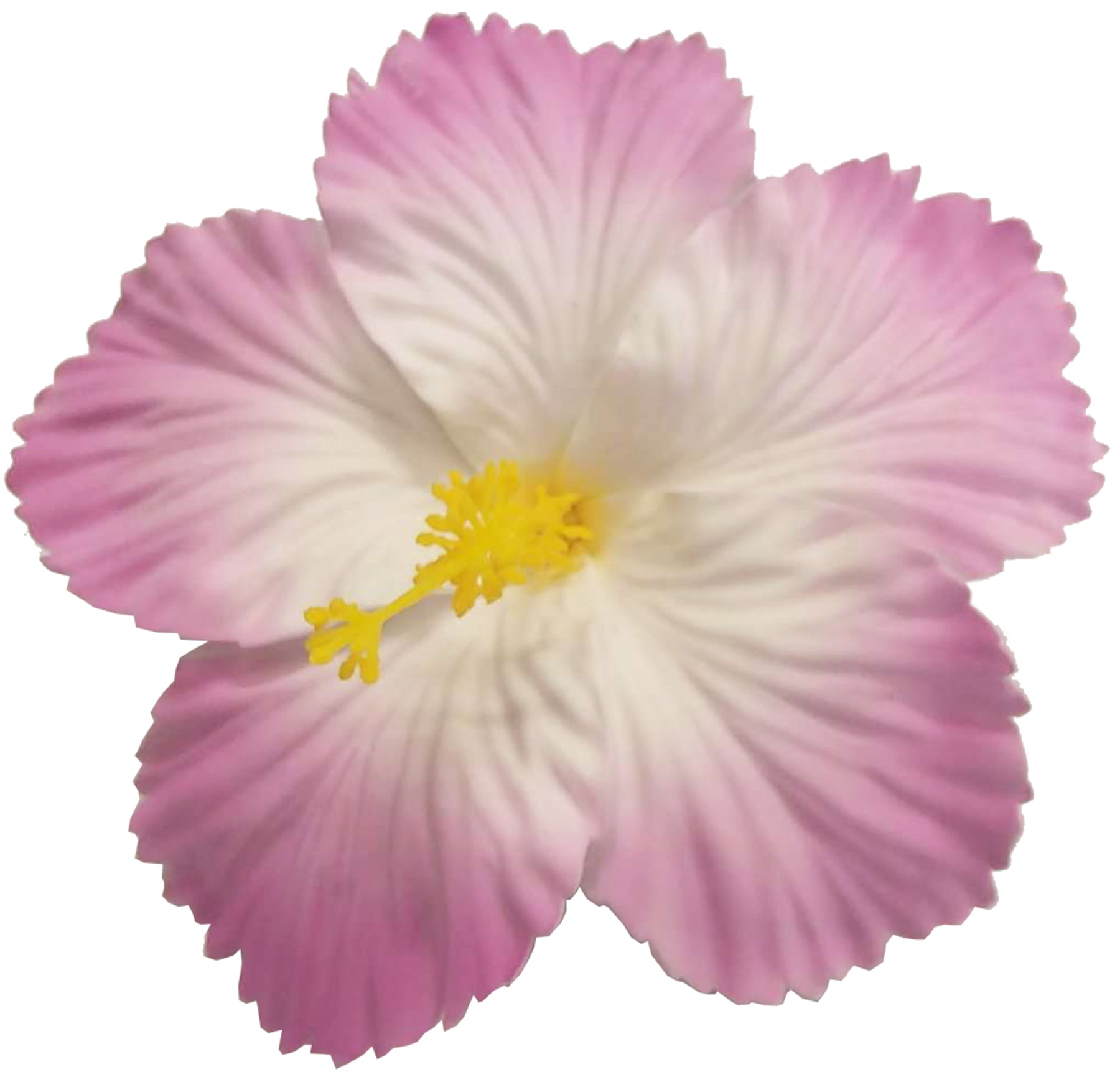 Killer_Kirsche_HERIET_HIBISCUS_FLOWER_Hibiskus_Haarbluete_Spange_-_flieder