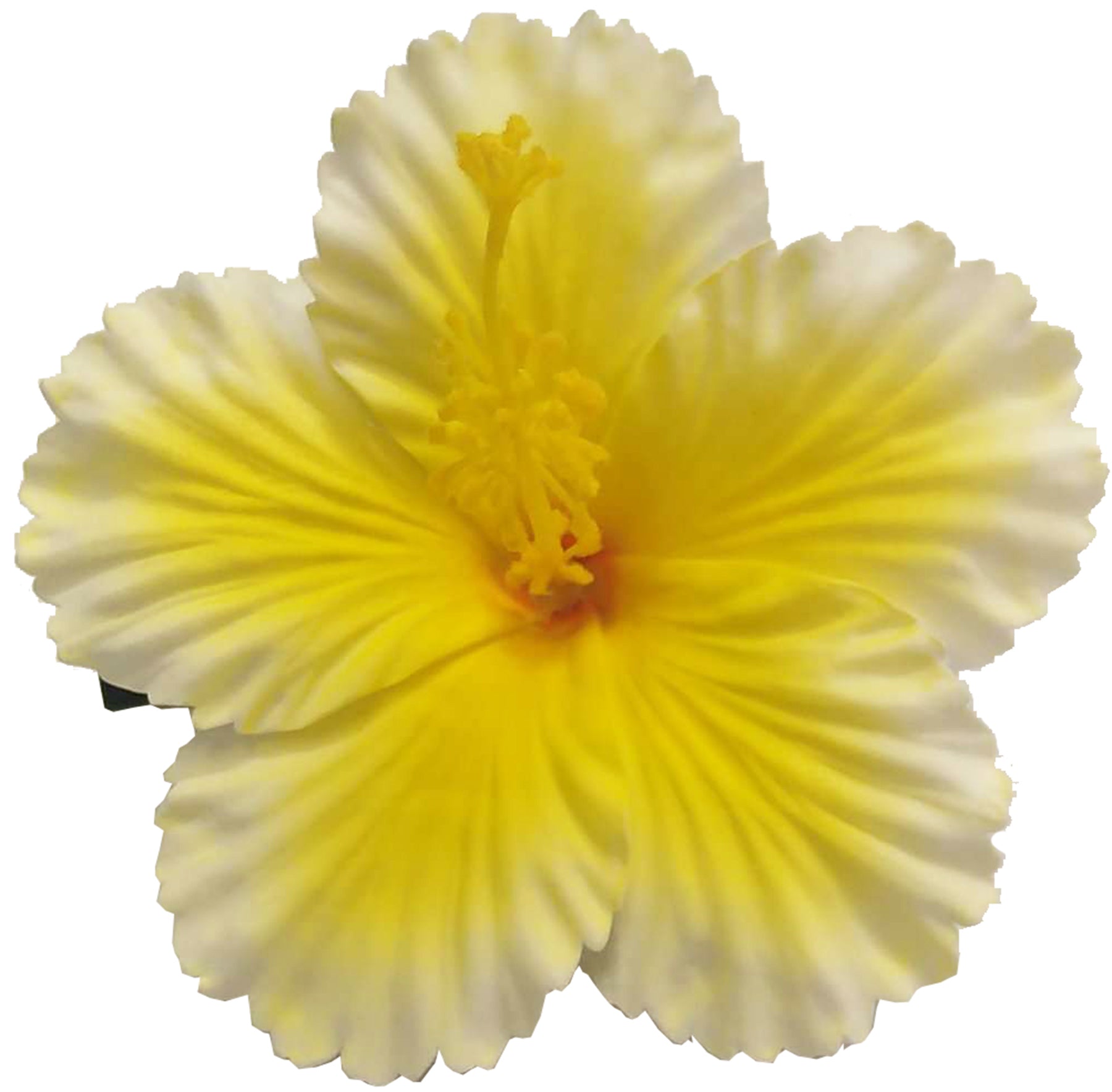 Killer_Kirsche_HERIET_HIBISCUS_FLOWER_Hibiskus_Haarbluete_Spange_-_gelb1