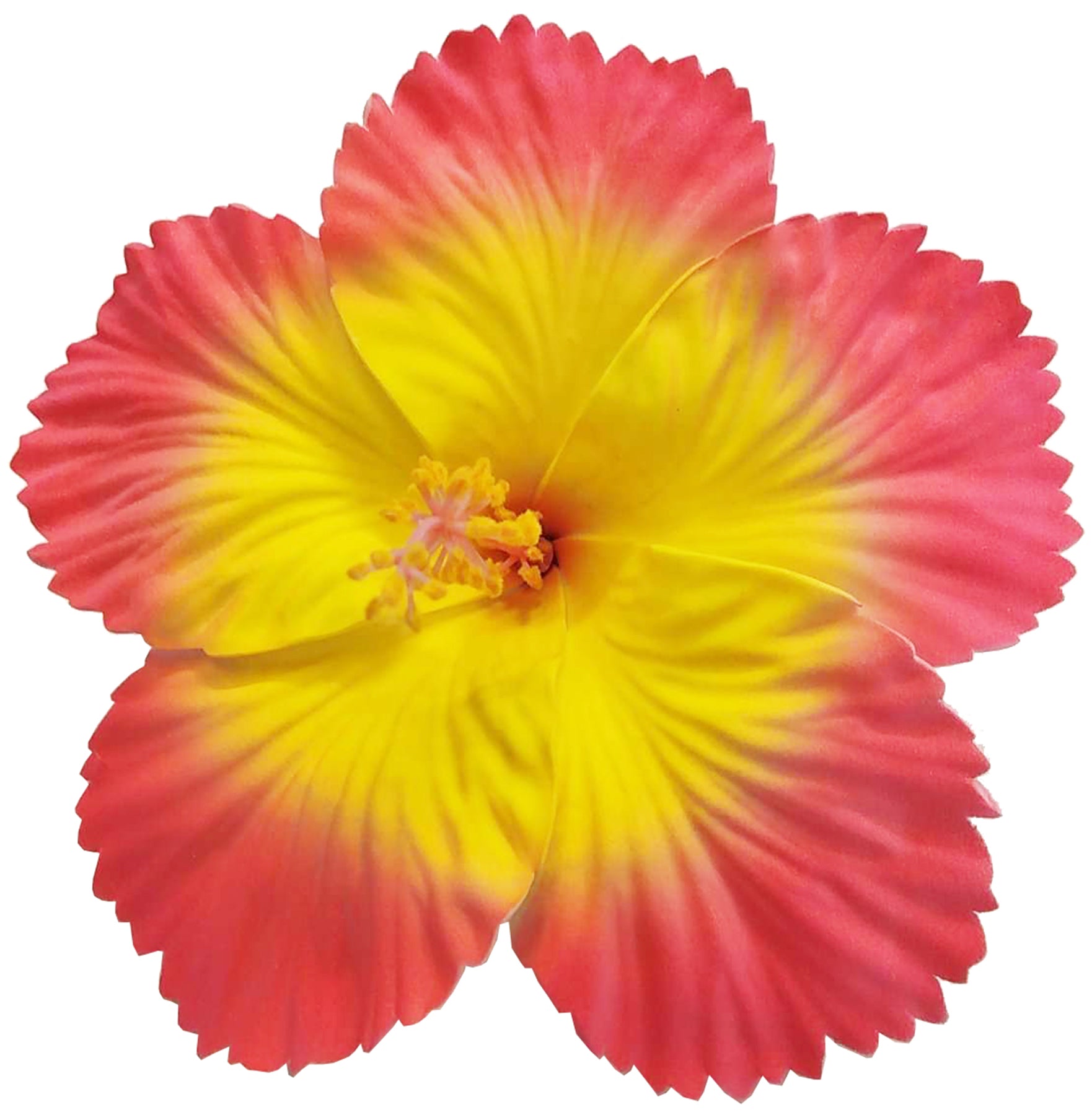 Killer_Kirsche_HERIET_HIBISCUS_FLOWER_Hibiskus_Haarbluete_Spange_-_magenta-gelb_1