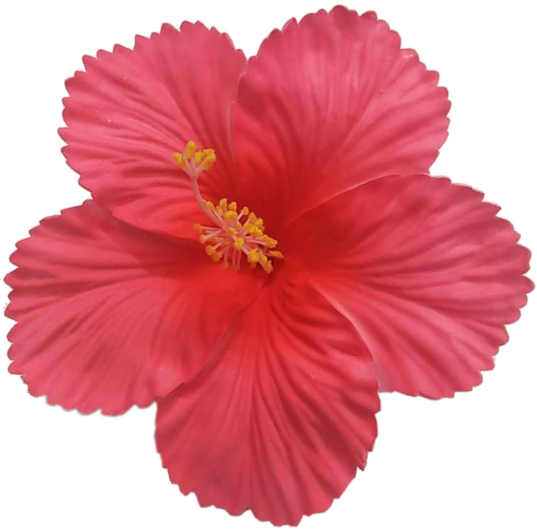Killer_Kirsche_HERIET_HIBISCUS_FLOWER_Hibiskus_Haarbluete_Spange_-_magenta1