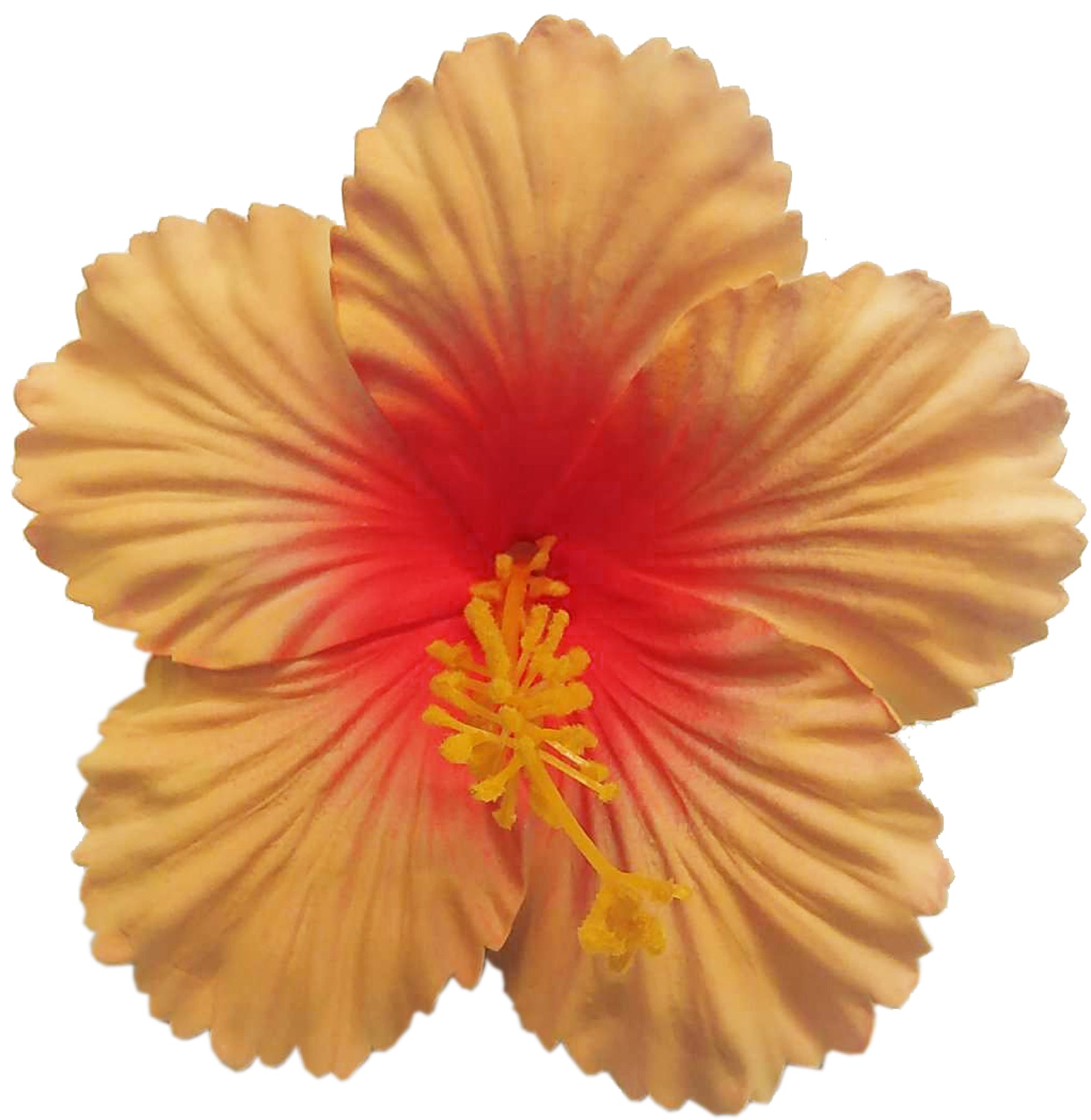 Killer_Kirsche_HERIET_HIBISCUS_FLOWER_Hibiskus_Haarbluete_Spange_-_orange_1
