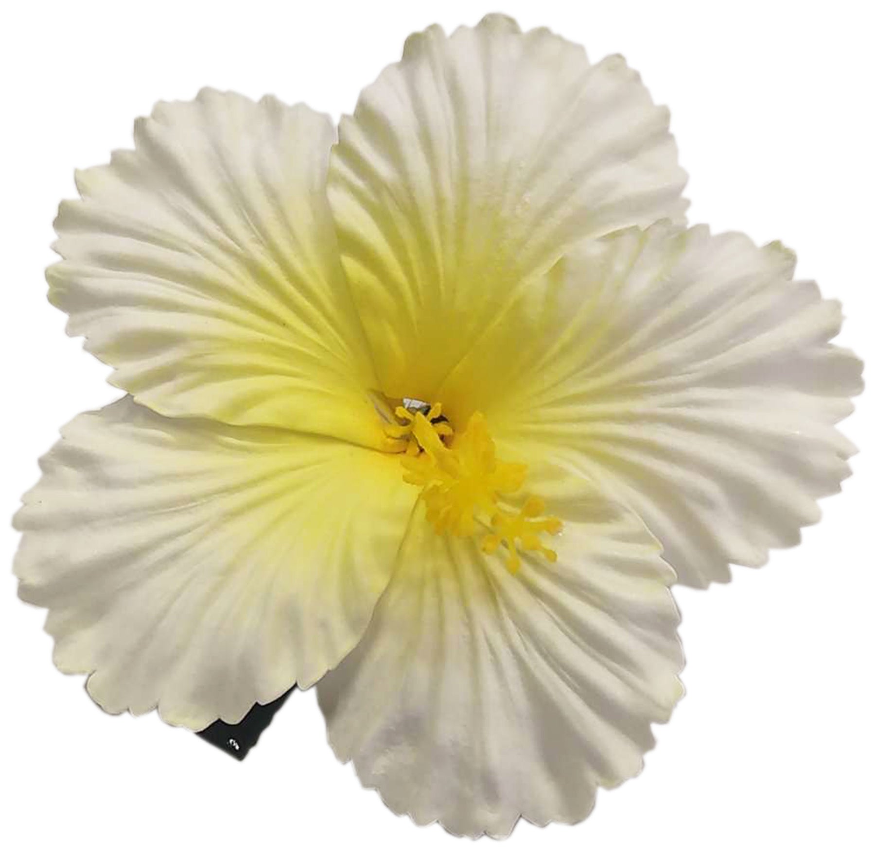 Killer_Kirsche_HERIET_HIBISCUS_FLOWER_Hibiskus_Haarbluete_Spange_-_weiss_1AWdpuroomBnyh