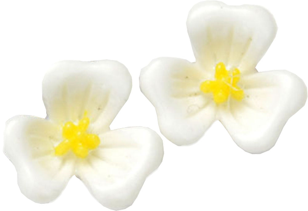 RAS2496_-_Pin_Up_HIBISCUS_Tiki_Flower_Ohrstecker8iburhyPPNYjD