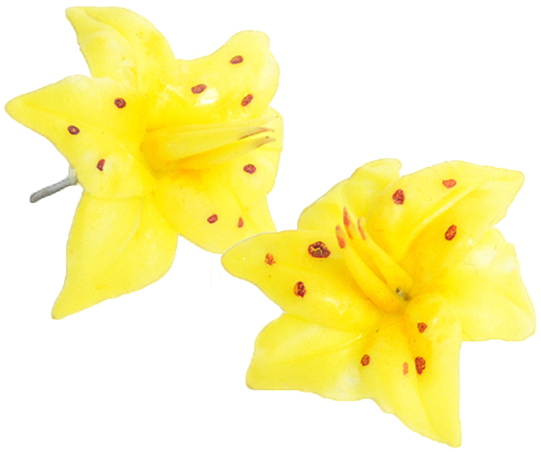 TIKI_Flower_ORCHIDEEN_Blueten_Ohrstecker_-_Gelb_killer_kirschekx7rjz0RH4zbL