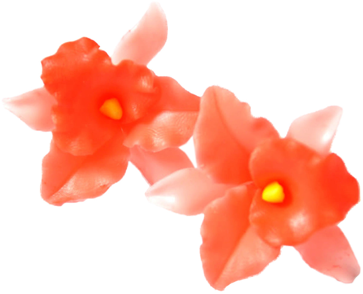 Zarte_ORCHIDEEN_Ohrstecker_-_Orange
