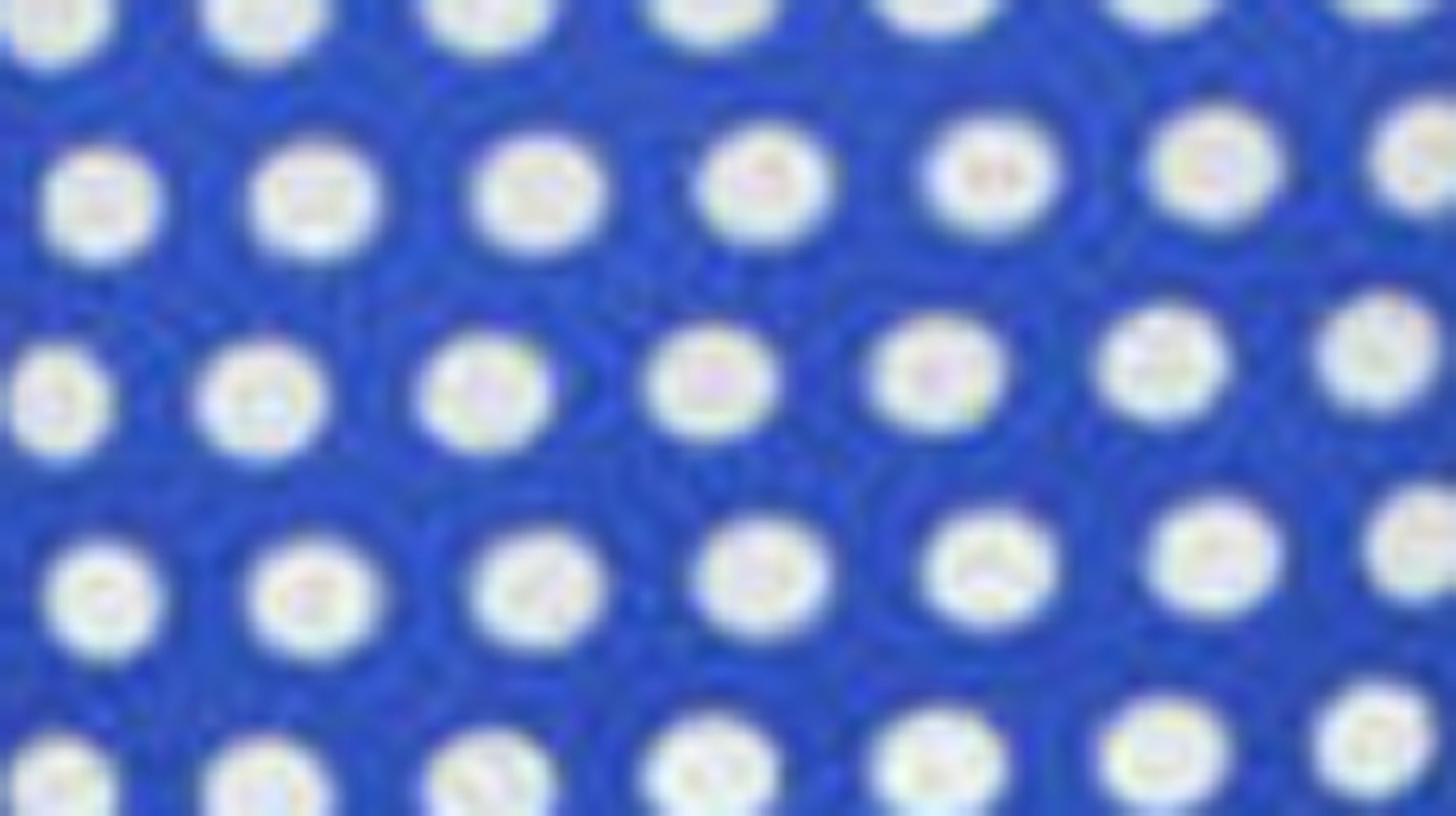 audreypolkablue1deD2ZwmL4lBxE