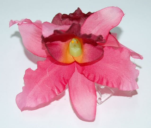 c44_Killer-Kirsche_November09_DSC_0309-2aNkXVVaO7oSVE