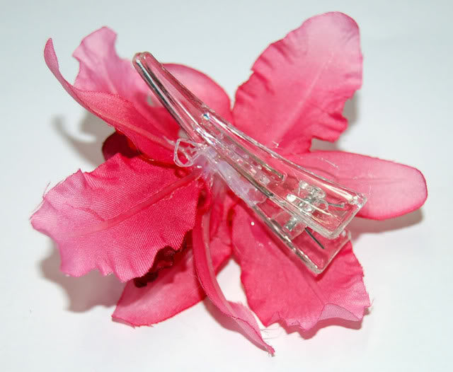 c44_Killer-Kirsche_November09_DSC_0312lj3AatPhgchAv