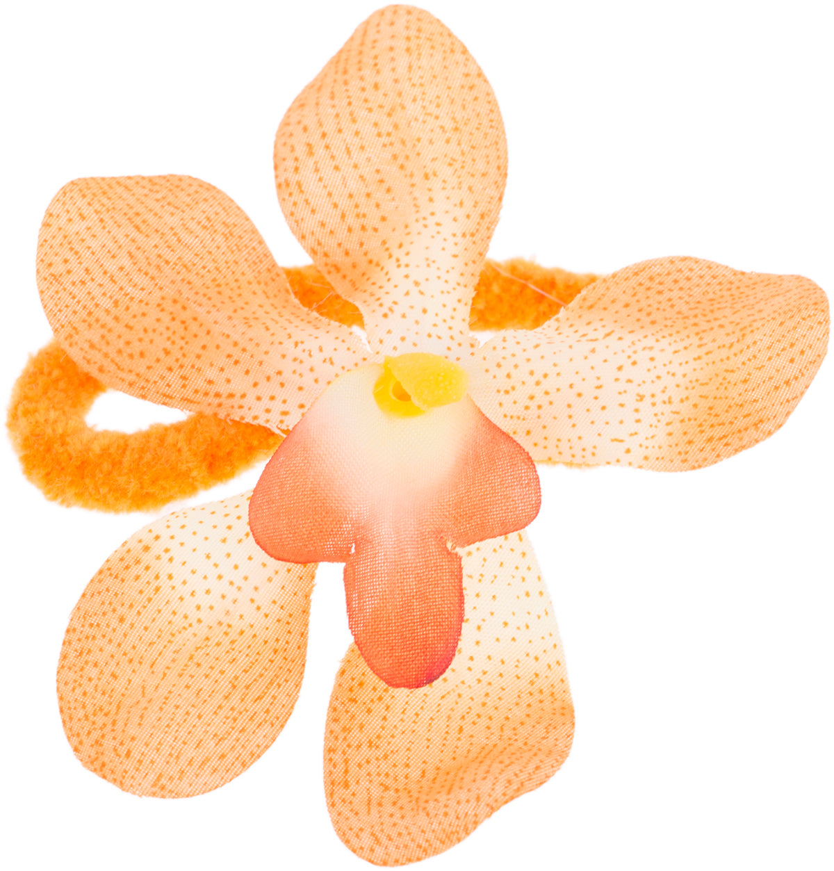 orange2aeelOvK1XBo48