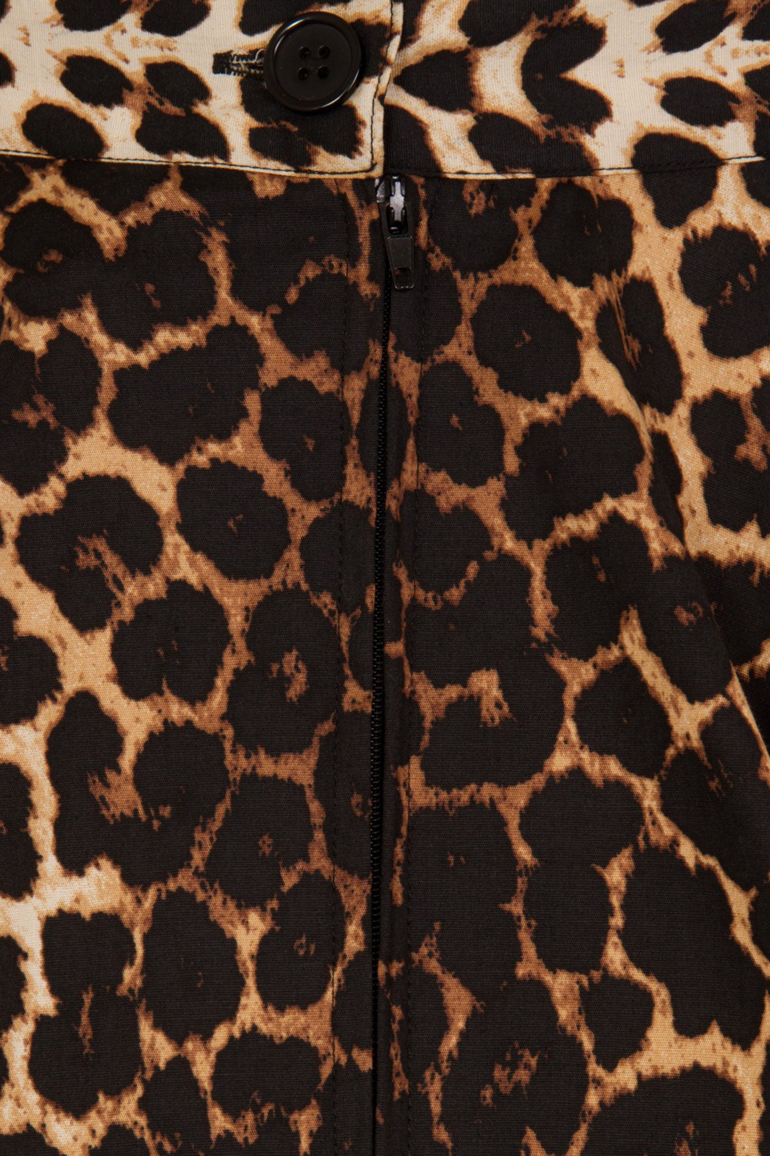 panthera3