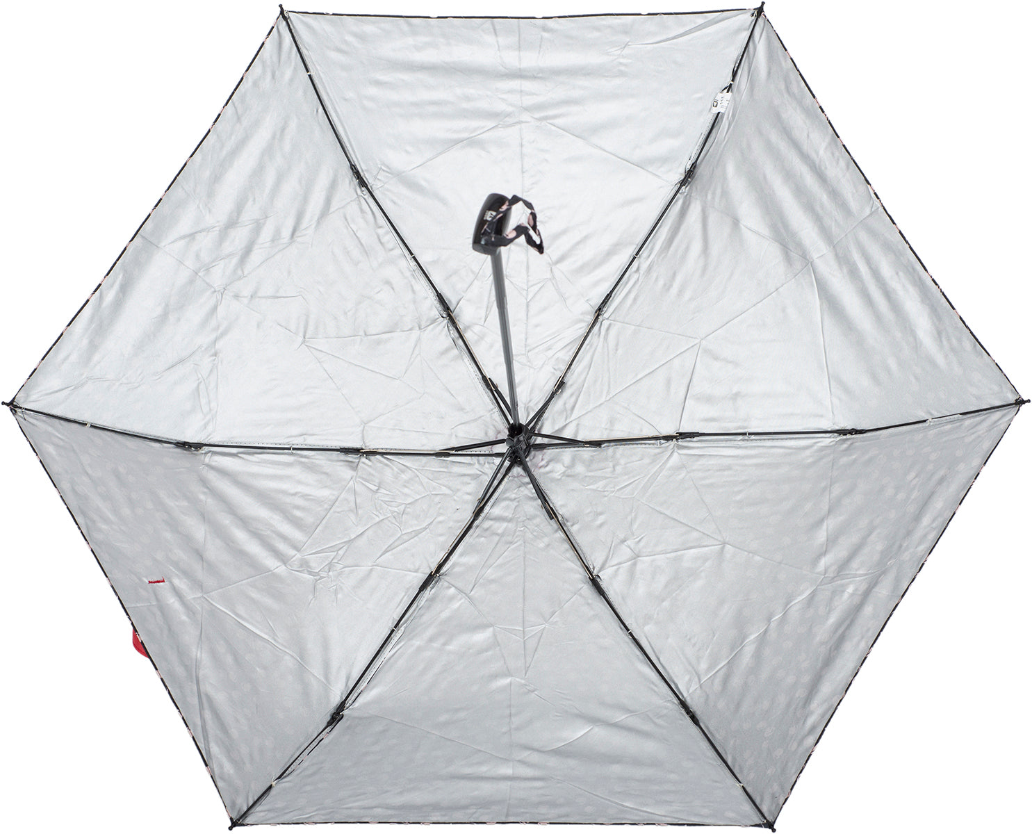 rs026-ant4